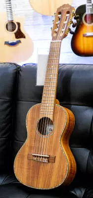 Denver - Guitar Ukulele